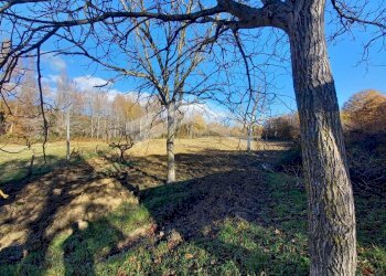 Foto 4 - Casa indipendente C.da Ponterotto
 
snc, Mirabello Sannitico - foto 4