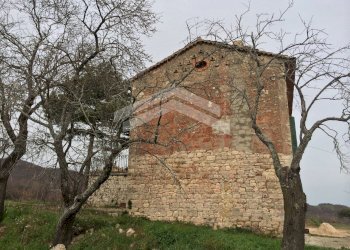 Foto 3 - Rustico SC Riccia Pietracatella, Riccia - foto 3