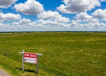 Foto 1 - Terreno agricolo Guardialfiera - foto 1