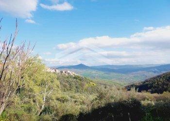 Foto 19 - Stabile - Palazzo Castelbottaccio - foto 19