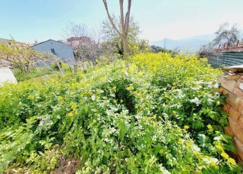 Foto 47 - Stabile - Palazzo Castelbottaccio - foto 47