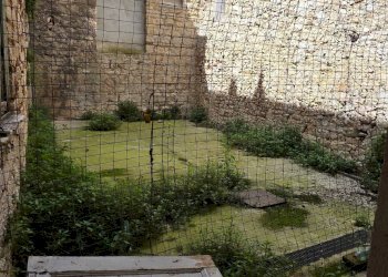 Foto 6 - Appartamento Via Ziccardi
 
44-46, Campobasso - foto 6