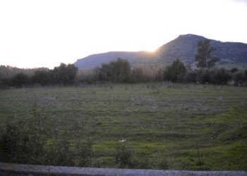 Foto 6 - Terreno edificabile via Grazia Deledda, Nuxis - foto 6