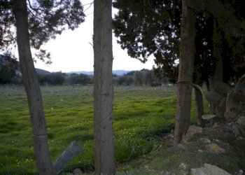 Foto 7 - Terreno edificabile via Grazia Deledda, Nuxis - foto 7