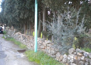 Foto 10 - Terreno edificabile via Grazia Deledda, Nuxis - foto 10