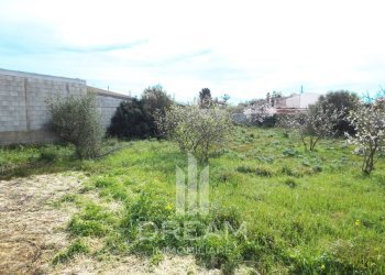 Foto 5 - Terreno agricolo via delle Iberis, Quartu Sant'Elena - foto 5