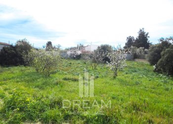 Foto 6 - Terreno agricolo via delle Iberis, Quartu Sant'Elena - foto 6