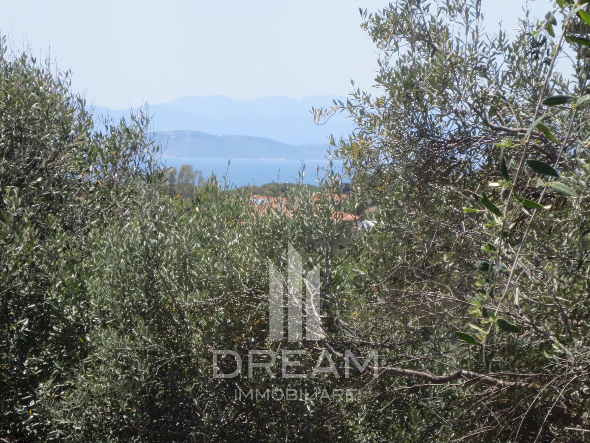 Foto 3 - Building land via degli Abeti, Quartu Sant'Elena - photo 3