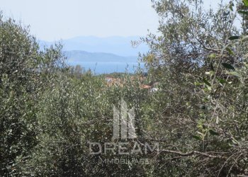 Foto 3 - Terreno edificabile via degli Abeti, Quartu Sant'Elena - foto 3