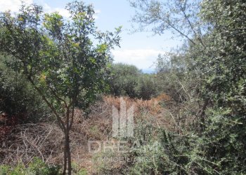 Foto 5 - Terreno edificabile via degli Abeti, Quartu Sant'Elena - foto 5