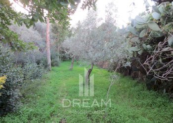 Foto 28 - Casa indipendente via Matteotti, Guspini - foto 28