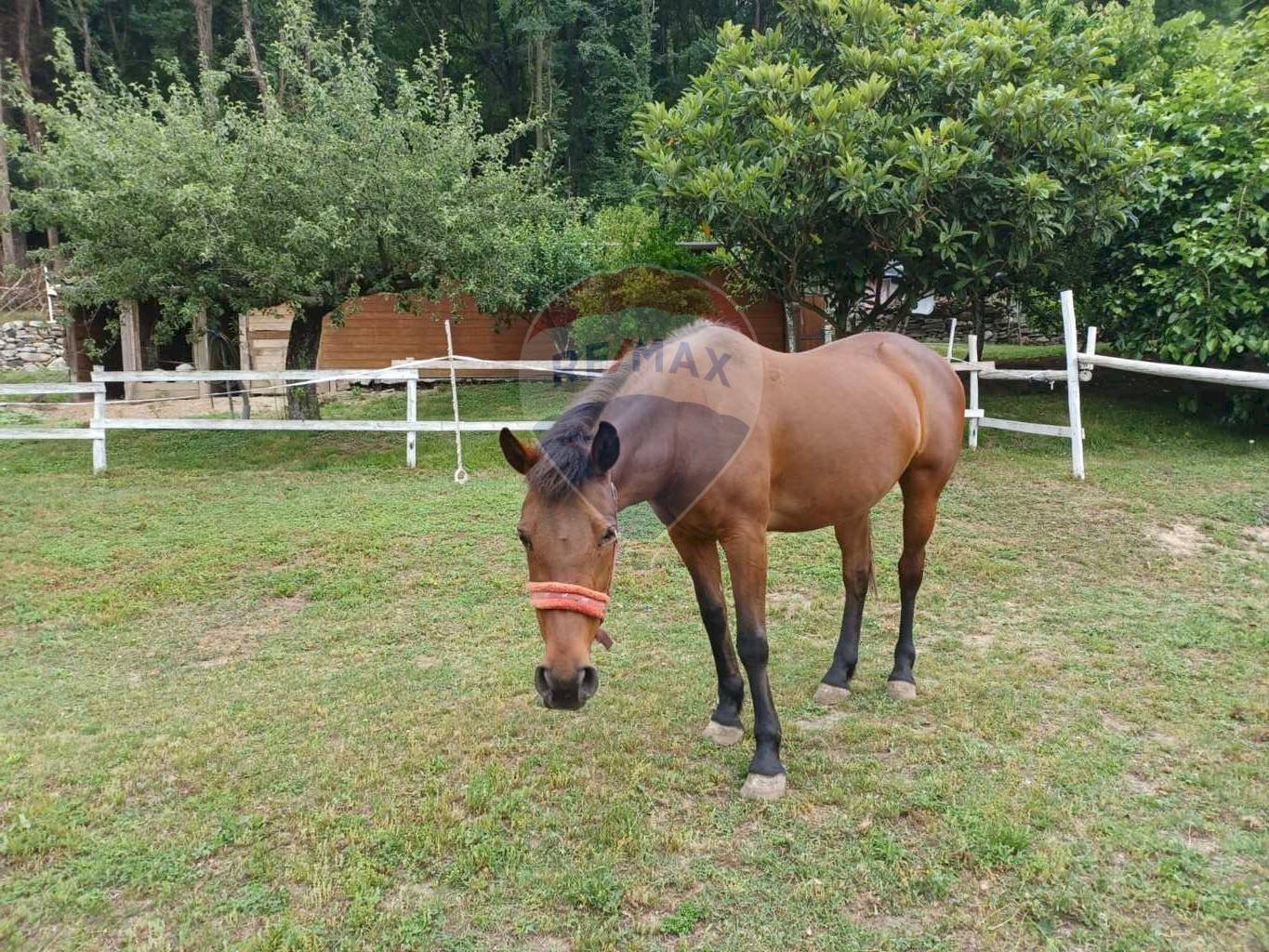 Non correlato - Villa Frazione Cà de Monti
 
17, Gavirate - foto 1