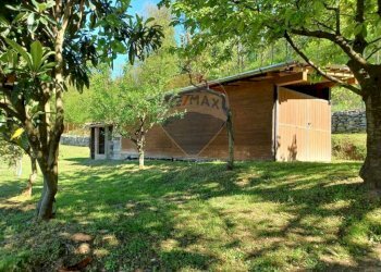 Giardino - Villa Frazione Cà de Monti
 
17, Gavirate - foto 19