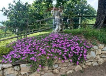 Giardino - Villa Frazione Cà de Monti
 
17, Gavirate - foto 29