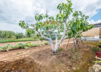 Giardino - Villa C/da Bosco di Mezzo, Caltagirone - foto 28
