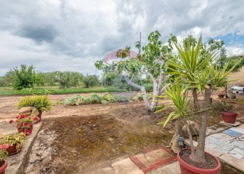 Giardino - Villa C/da Bosco di Mezzo, Caltagirone - foto 35