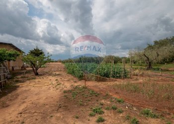 Giardino - Villa C/da Bosco di Mezzo, Caltagirone - foto 40