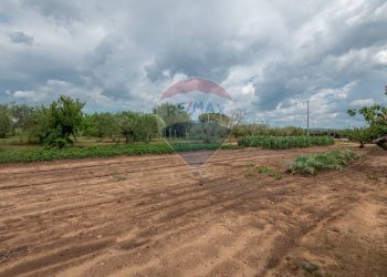 Giardino - Villa C/da Bosco di Mezzo, Caltagirone - foto 44