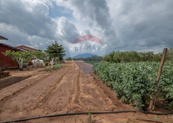 Giardino - Villa C/da Bosco di Mezzo, Caltagirone - foto 45