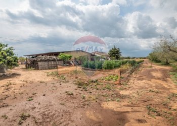 Giardino - Villa C/da Bosco di Mezzo, Caltagirone - foto 46