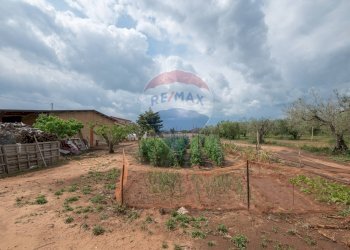 Giardino - Villa C/da Bosco di Mezzo, Caltagirone - foto 47