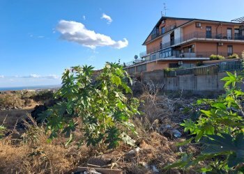 TERRENO - Building land Traversa Via Etna
 
snc, Misterbianco - photo 9