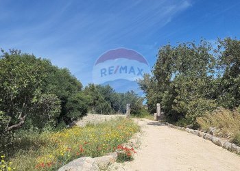 Giardino - Villa strada provinciale 94 Cuturi, Scicli - foto 5