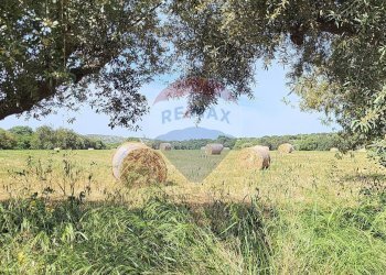 Vista delle montagne - Villa strada provinciale 94 Cuturi, Scicli - foto 32