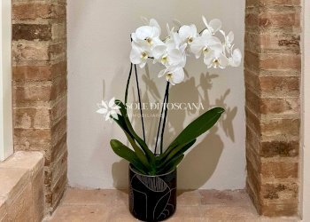 \nFoto 21\n - Appartamento Via Soccorso Saloni, Montalcino - foto 21