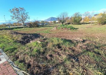 Terreno - Terreno edificabile via Aurelio Peccei, Rivalta di Torino - foto 2