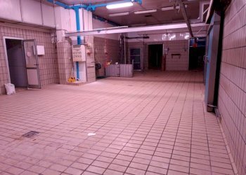 Dettagli - Negozio via Fenestrelle, 117, Rivalta di Torino - foto 9