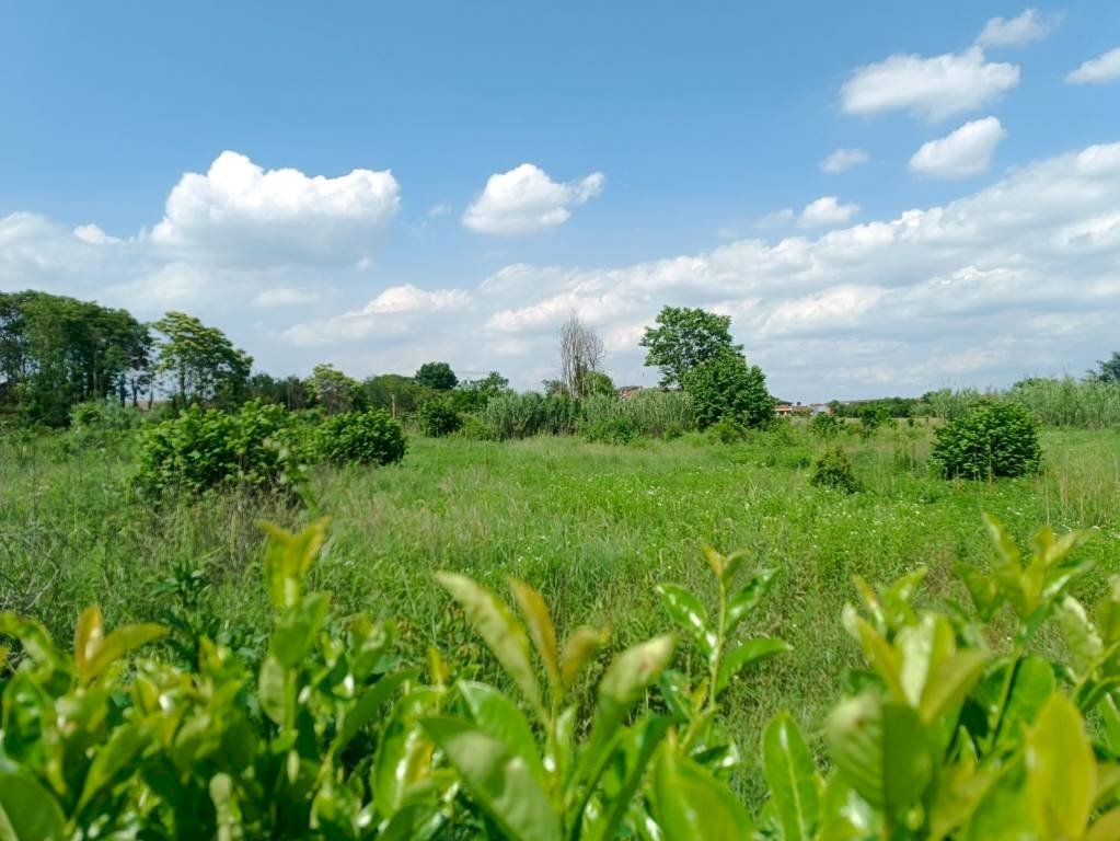 Terreno - Building land via Cesare Pavese, Rivalta di Torino - photo 2