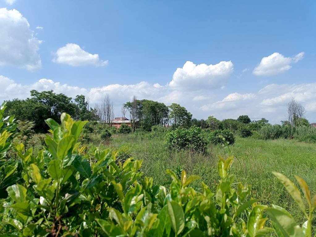 Terreno - Building land via Cesare Pavese, Rivalta di Torino - photo 3