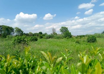 Terreno - Terreno edificabile via Cesare Pavese, Rivalta di Torino - foto 2