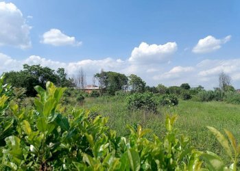 Terreno - Terreno edificabile via Cesare Pavese, Rivalta di Torino - foto 3