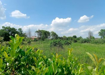 Terreno - Terreno edificabile via Cesare Pavese, Rivalta di Torino - foto 4