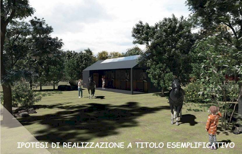 Altro - Rustico via Orbassano, 77, None - foto 3