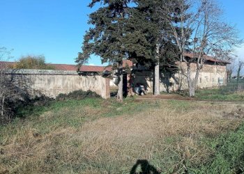 Terreno - Rustico via Orbassano, 77, None - foto 5