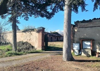 Terreno - Rustico via Orbassano, 77, None - foto 8