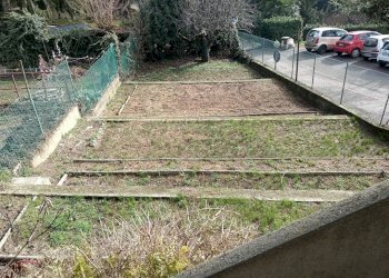 Giardino - Stable - Palace strada Provinciale di San Felice, 5, Pino Torinese - photo 33