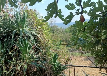 Terreno - Villa via Europa, 57, Rubiana - foto 39