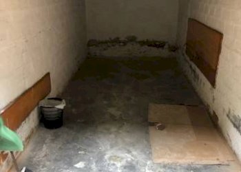 Cantina - Box via Rialto, Bologna (zona Centro Storico) - foto 2