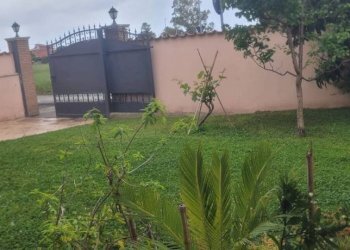 Giardino - Villa largo Marmore, Ardea - foto 7