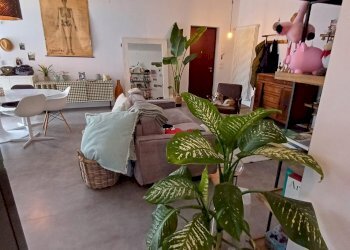 Appartamento Rivergaro - foto 6