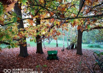 Independent house hamlet Serra, Buttigliera d'Asti - photo 7