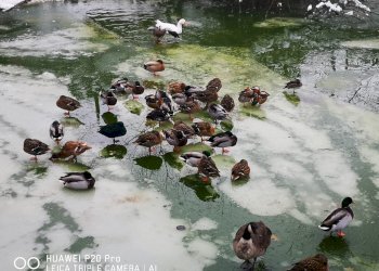 Independent house hamlet Serra, Buttigliera d'Asti - photo 8