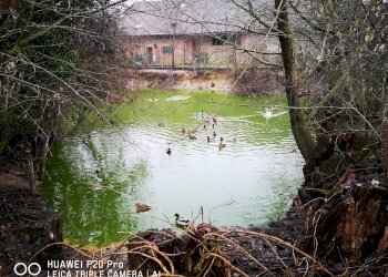 Independent house hamlet Serra, Buttigliera d'Asti - photo 10
