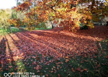 Independent house hamlet Serra, Buttigliera d'Asti - photo 15