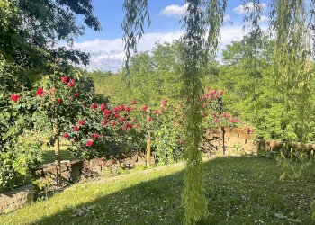 Independent house hamlet Serra, Buttigliera d'Asti - photo 38