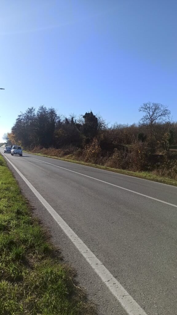 Terreno edificabile Via Circonvallazione, Carrù - foto 2